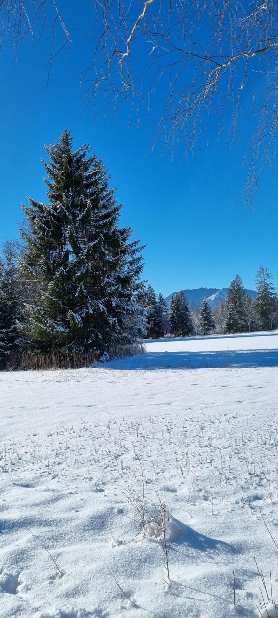 Boutique Hotel Angerer Murnau am Staffelsee Eksteriør bilde